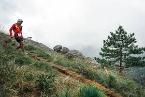 BIB: 
                            <button type="button" onclick="openModal(26021228)" class="btn btn-primary btn-sm float-right btn-popup" data-toggle="modal" data-target=".modal-high-quality">
                        <i class="fas fa-shopping-cart"></i> Add to Cart
                    </button>
                                            <button type="button" onclick="isThisMe(26021228, true)" class="btn btn-success btn-sm float-right btn-popup btn-isme hidden" data-toggle="tooltip" data-placement="bottom" title="นี่คือรูปของคุณใช่ไหม คลิกที่นี่เพื่อเอาเข้าอัลบั้ม">
                        <i class="fas fa-plus"></i> Add to album
                    </button>
                    <button type="button" onclick="isThisMe(26021228, false)" class="btn btn-warning btn-sm float-right btn-popup btn-isnotme hidden">
                        <i class="fas fa-ban"></i> Remove from album
                    </button>